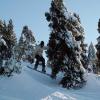 PICT0083.jpg